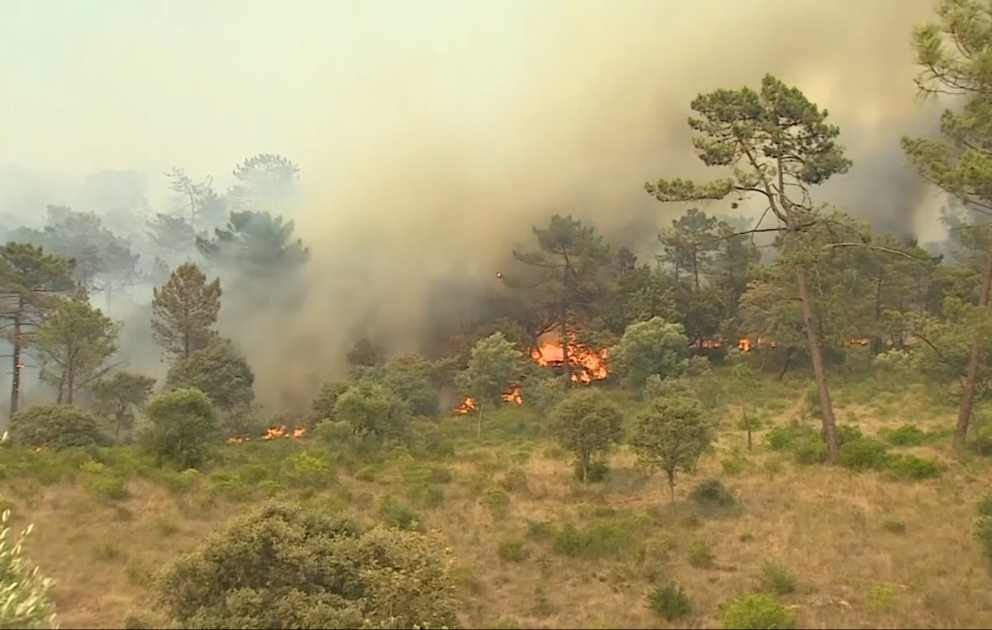 Hitzewelle sorgt für Waldbrände in Portugal