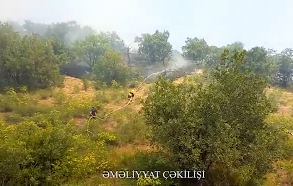 Zəngilanda ağaclıq ərazi yanır