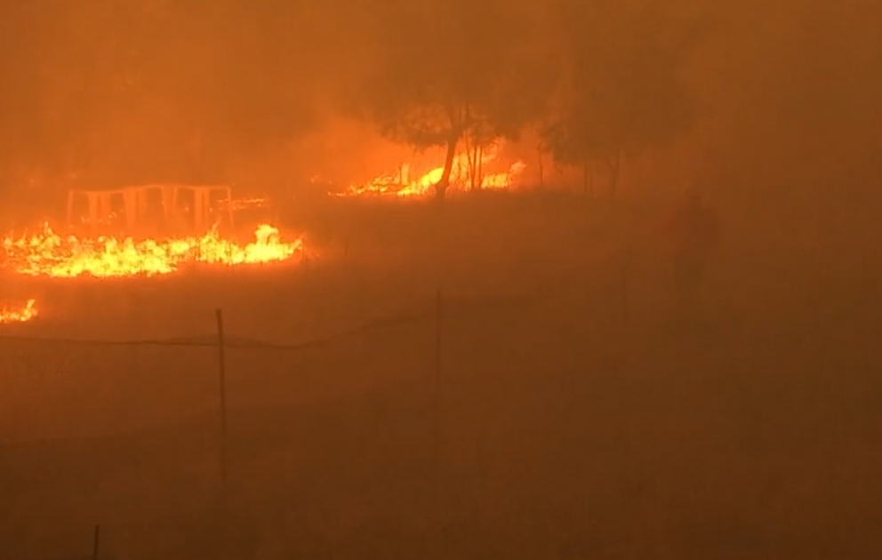Changement climatique : vague de chaleur et incendies en Europe