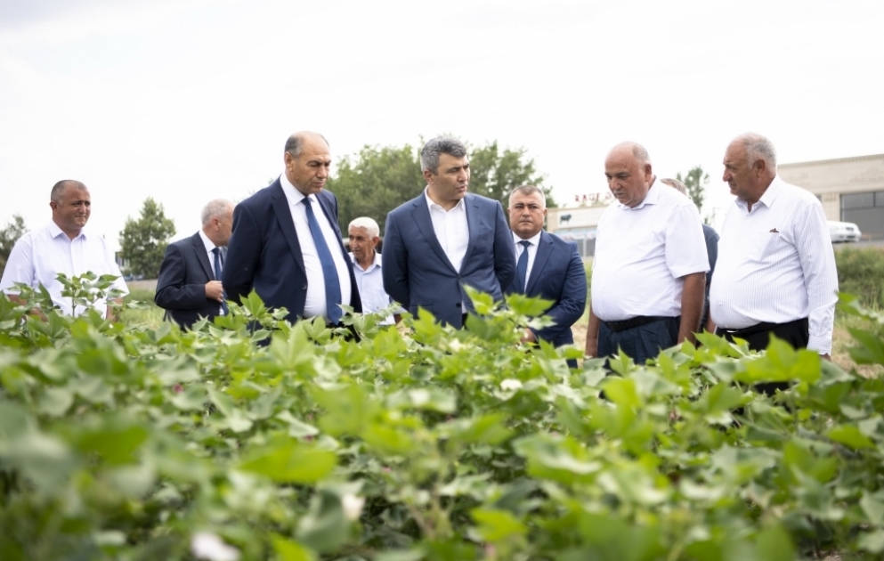 Kənd Təsərrüfatı naziri Tərtər və Bərdədə təsərrüfatlara baş çəkib, fermerlərlə görüşüb