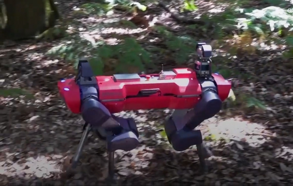 İtalyan meşələrini qoruyan dördayaqlı robot