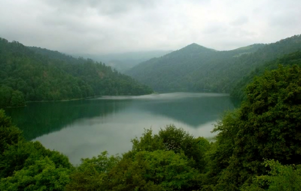 Yeddi ay ərzində milli parkları 147 mindən çox turist ziyarət edib
