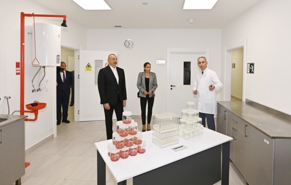 Präsident Ilham Aliyev und First Lady Mehriban Aliyeva besuchen Unternehmen ”Grand-Agro Invitro” und weihen Verarbeitungsbetrieb von ”Azbadam” ein
