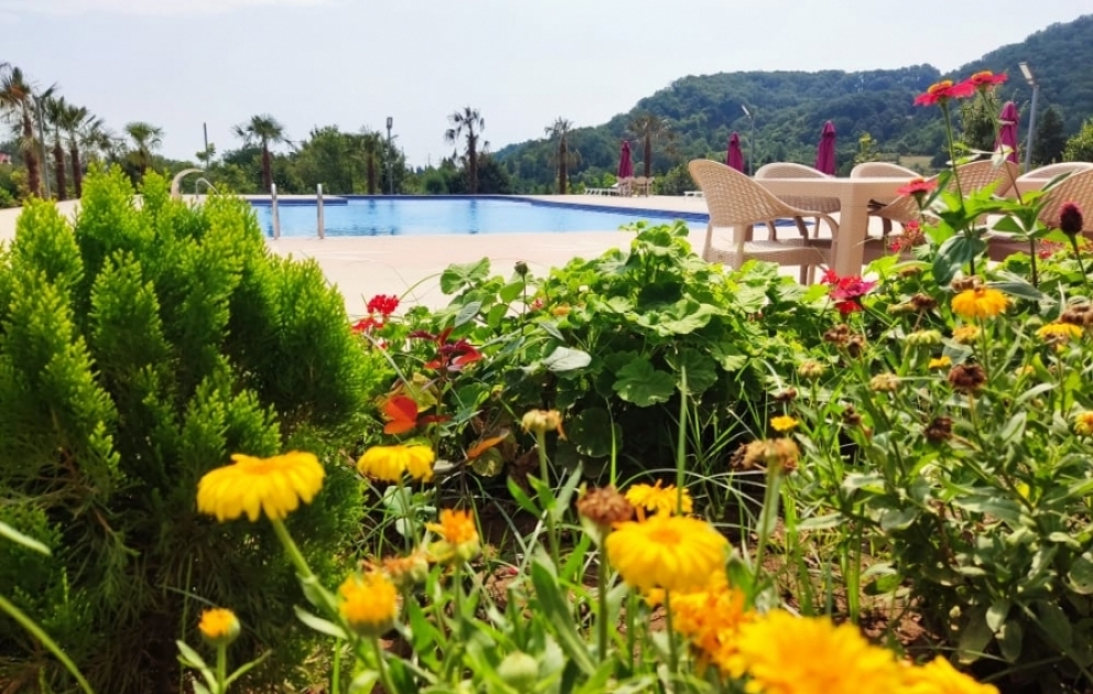 Bu il son iki ayda Azərbaycana gələn turistlərin sayında ciddi artım var - Lənkərandan reportaj