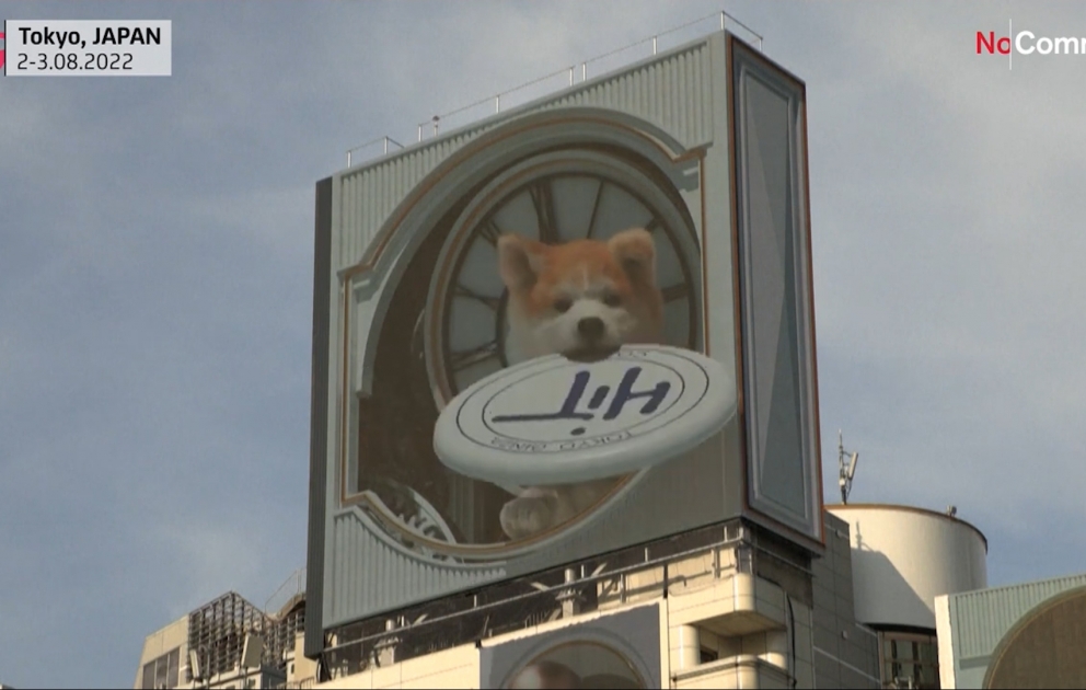 Tokioda hər kəsin marağına səbəb olan yeni 3D reklam lövhəsi