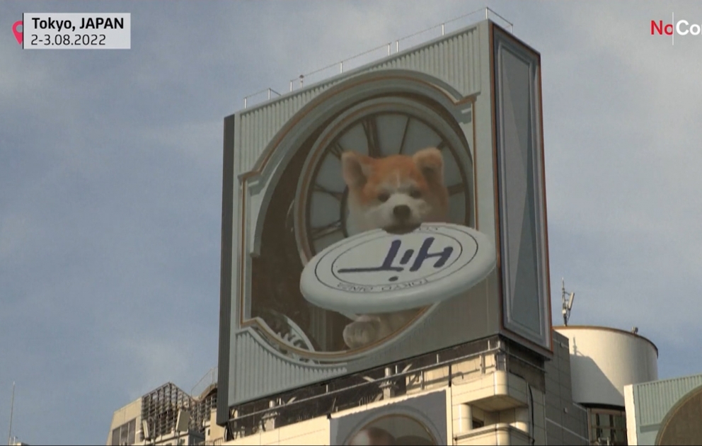 Giant 3D dog leaps between billboards in Tokyo