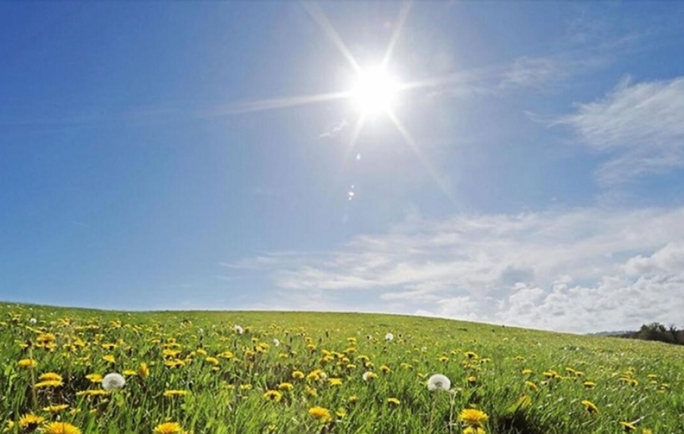 Sabah ölkənin bəzi yerlərində havanın temperaturu 41 dərəcəyə yüksələcək