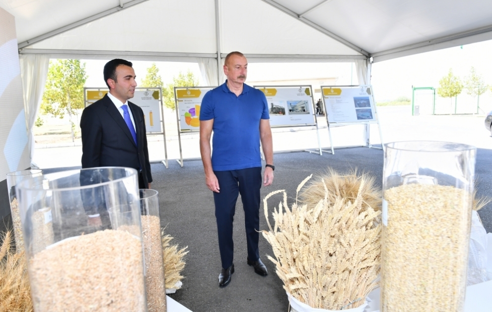 President Ilham Aliyev got acquainted with activities of “Aghsu Agropark”