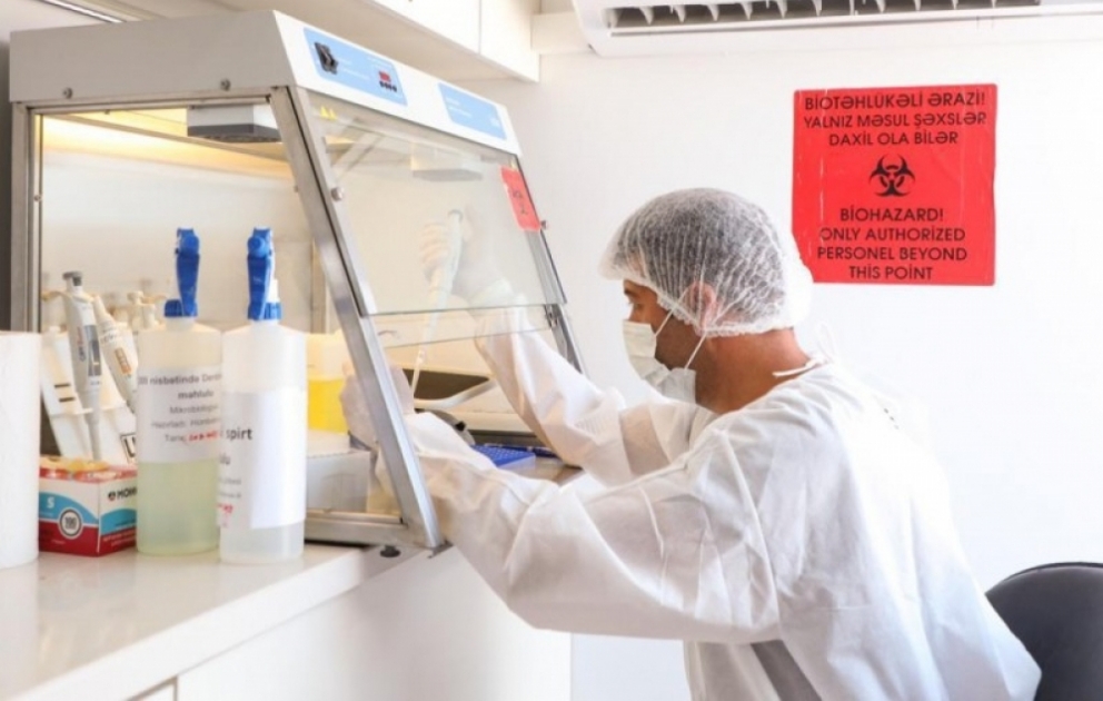 Zəngilanda çadır tipli kəsim məntəqəsi və səyyar laboratoriya fəaliyyətə başlayıb