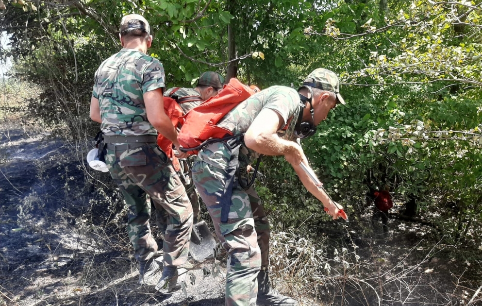 МЧС: В Хачмаз доставлен пожарный поезд