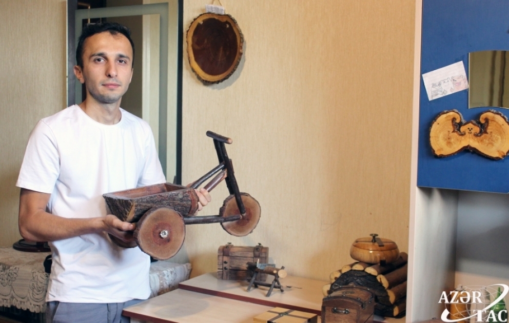 Ağac kötüklərinə yeni nəfəs verən gənc dülgər