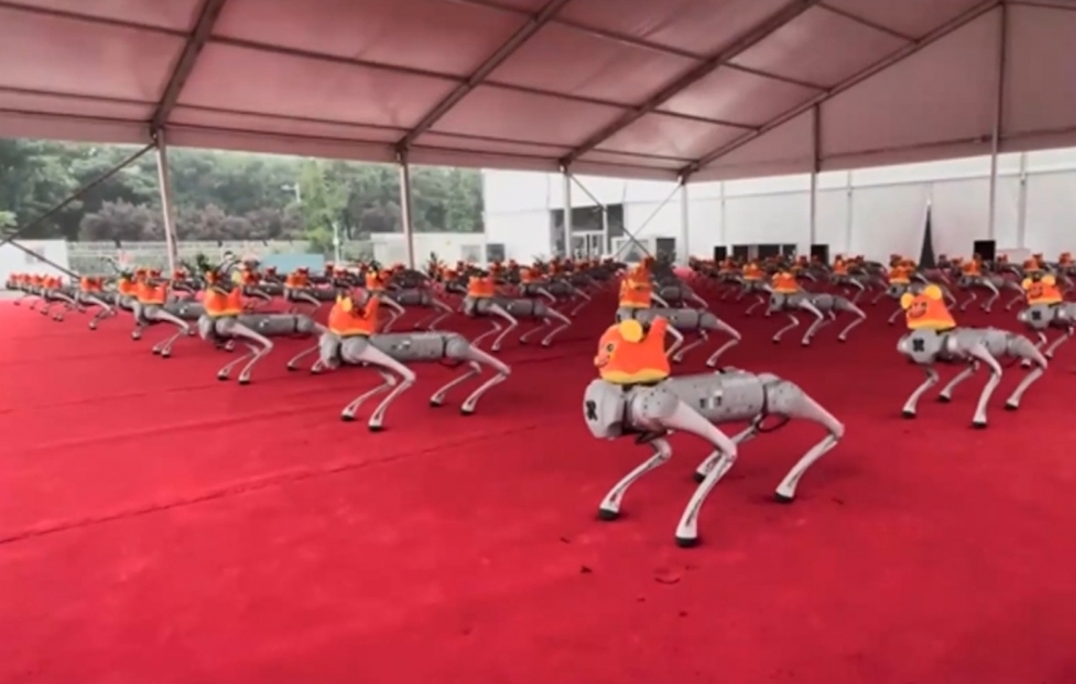 Çində yüz robot itin iştirakı ilə rəqs şousu keçirildi