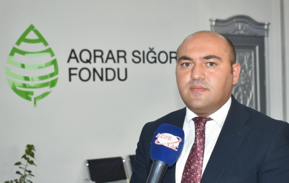 Firdovsi Ağaşirinov: Aqrar Sığorta Fondu risklərin təminatını gələcəkdə də operativ həyata keçirəcək