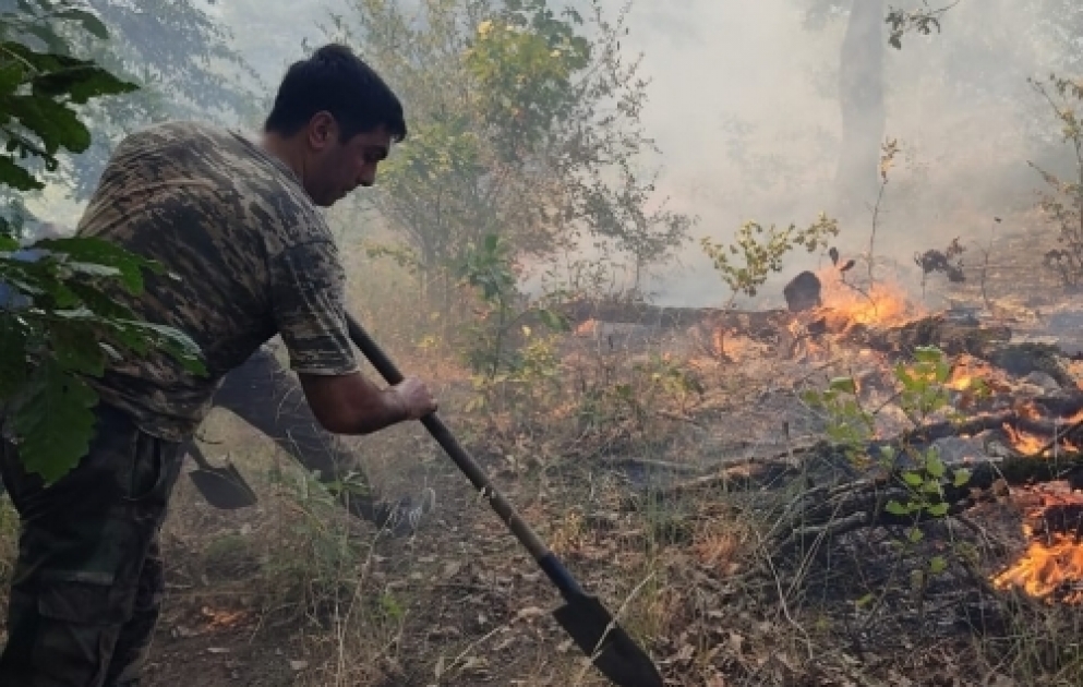 Тушение пожара в горной местности в Масаллы продолжается