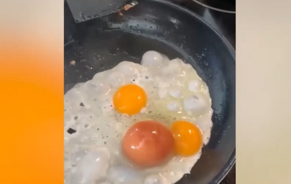 Yumurtanın içindən başqa bir yumurta çıxdı