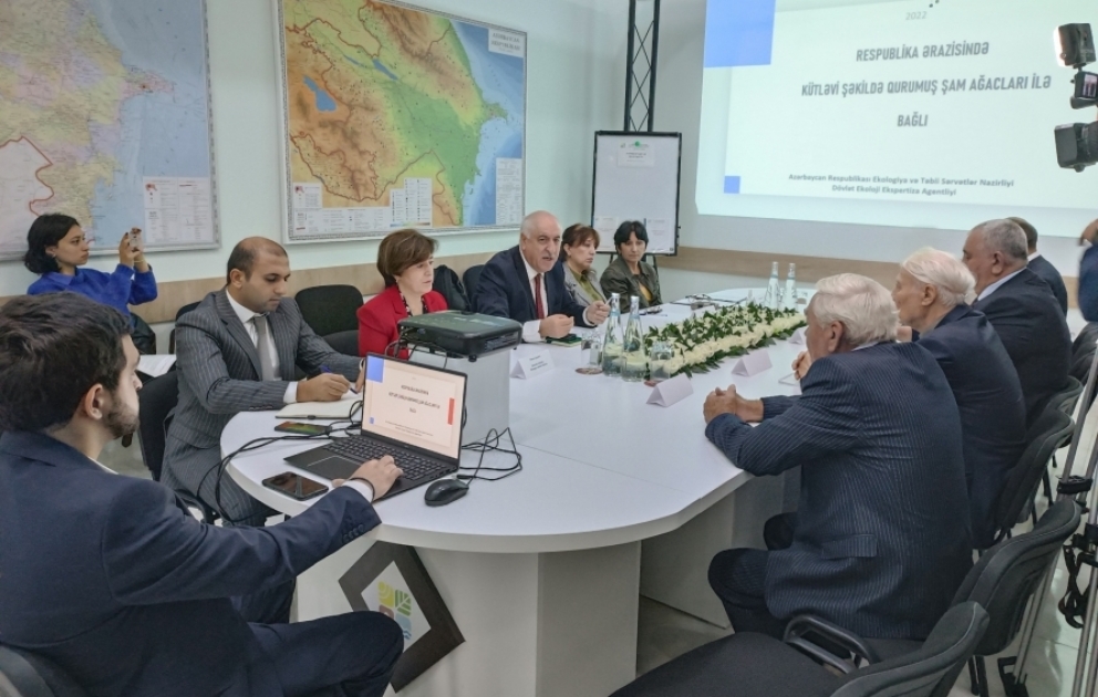 Şam ağaclarında yaranan xəstəlik və parazitlər onların bioloji inkişafdan qalmasına səbəb olub