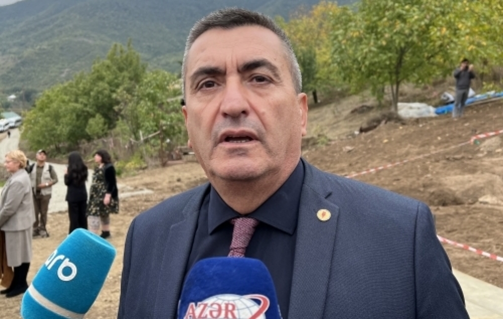 Adnan Fişenk: Edillidə aşkarlanmış kütləvi məzarlığı görəndə dəhşətə gəldim