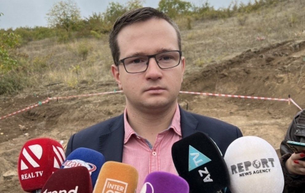 Adrian Pexota: Edillidə baş vermiş hadisələr Cenevrə Konvensiyasına ziddir