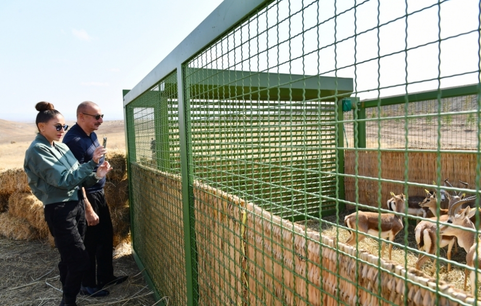 18 gazelles were released to territory of Jabrayil while viewing project of forest training center, smart seedlings and friendship forest complex to be established in the district