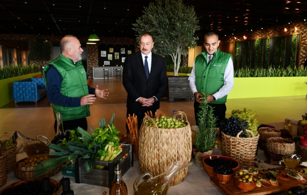 President Ilham Aliyev attended opening of olive oil and table olive products processing plant in Zira settlement