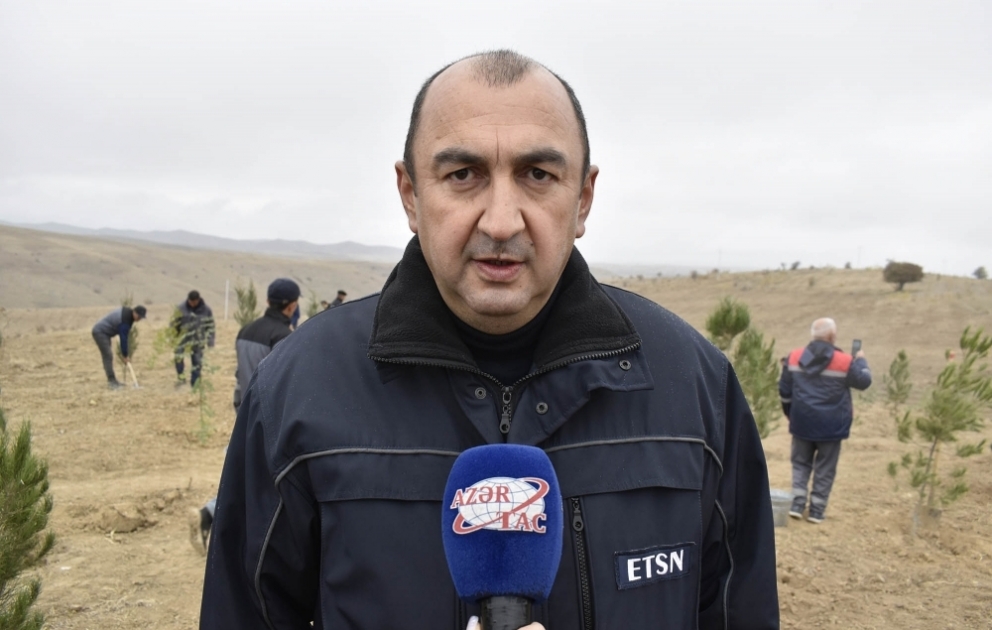 Nazir müavini: “Gələcəyə nəfəs!” kütləvi ağacəkmə aksiyası çərçivəsində bu gün Azərbaycanda 111 min 111 ağac əkiləcək