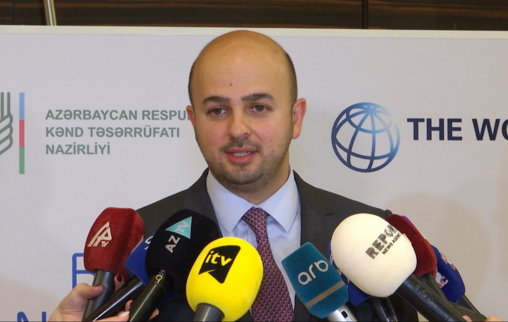 Ağalı kəndində kiçik sahibkarların yerləşdirilməsi üzrə işlər aparılır