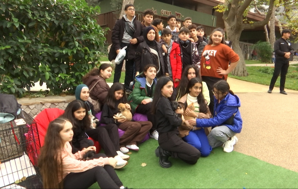 Bakı Zoolojı Parkında "Himayə Guşəsi" böyük maraqla qarşılanır
