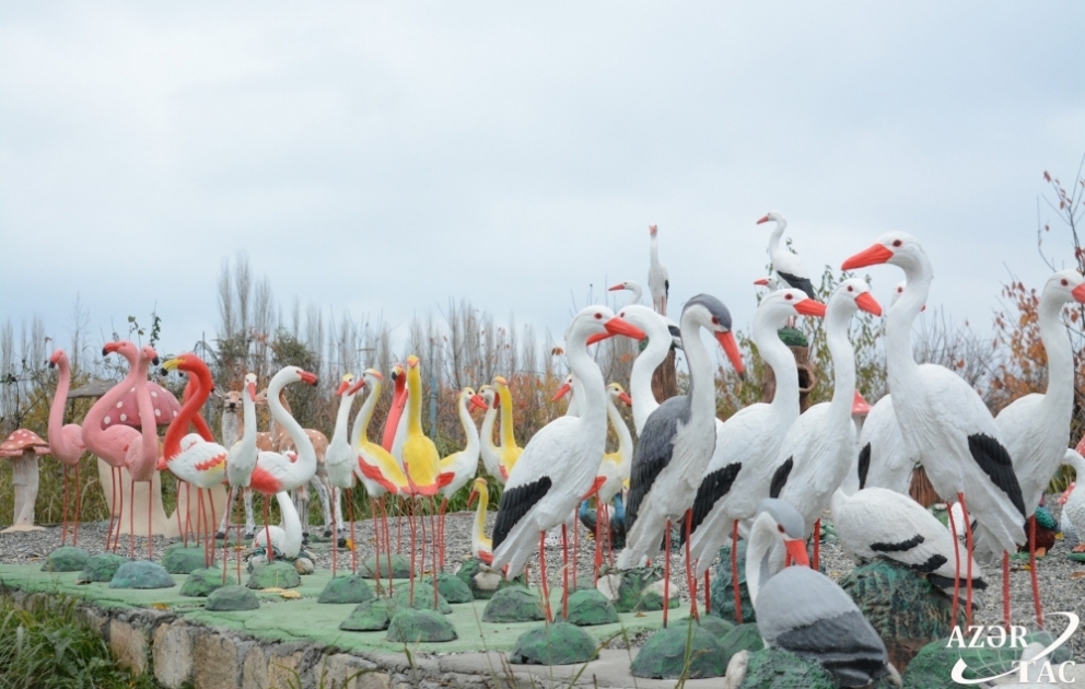 Cansız quş və heyvanların toplaşdığı zoopark
