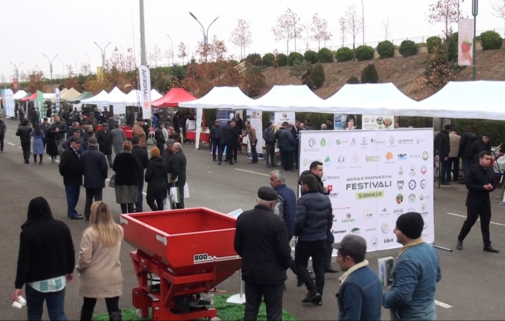 Şəmkirdə Aqrar İnnovasiya Festivalı keçirilib