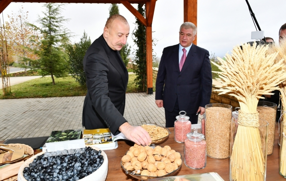 Prezident İlham Əliyev “Şəki-Oğuz” Aqroparkında yaradılan şəraitlə tanış olub