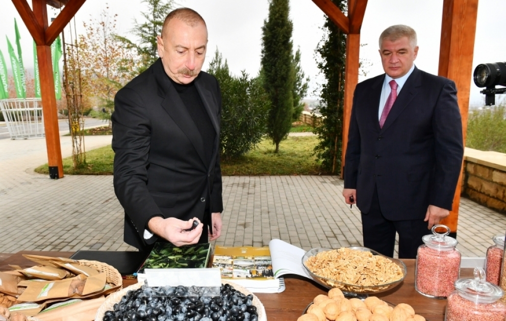 President Ilham Aliyev viewed conditions created at “Shaki-Oghuz” Agropark
