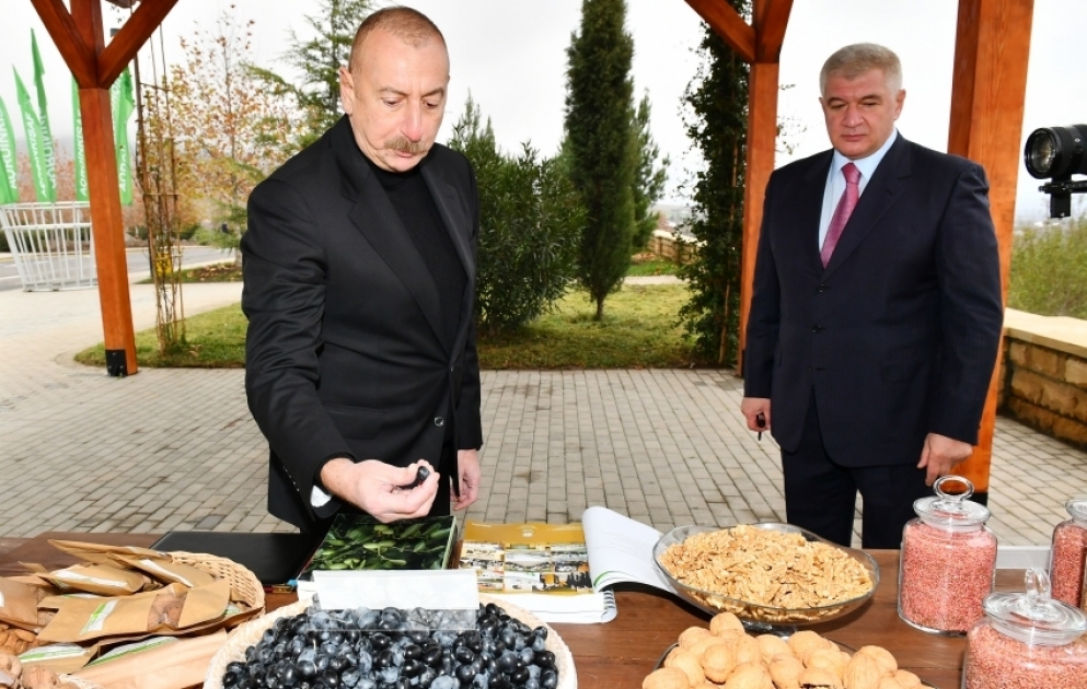 Präsident Ilham Aliyev besucht Agropark “Scheki-Oguz“ geschaffenen Bedingungen