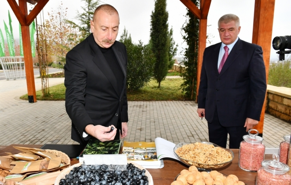 Le président Ilham Aliyev visite l’Agroparc Chéki-Oghouz