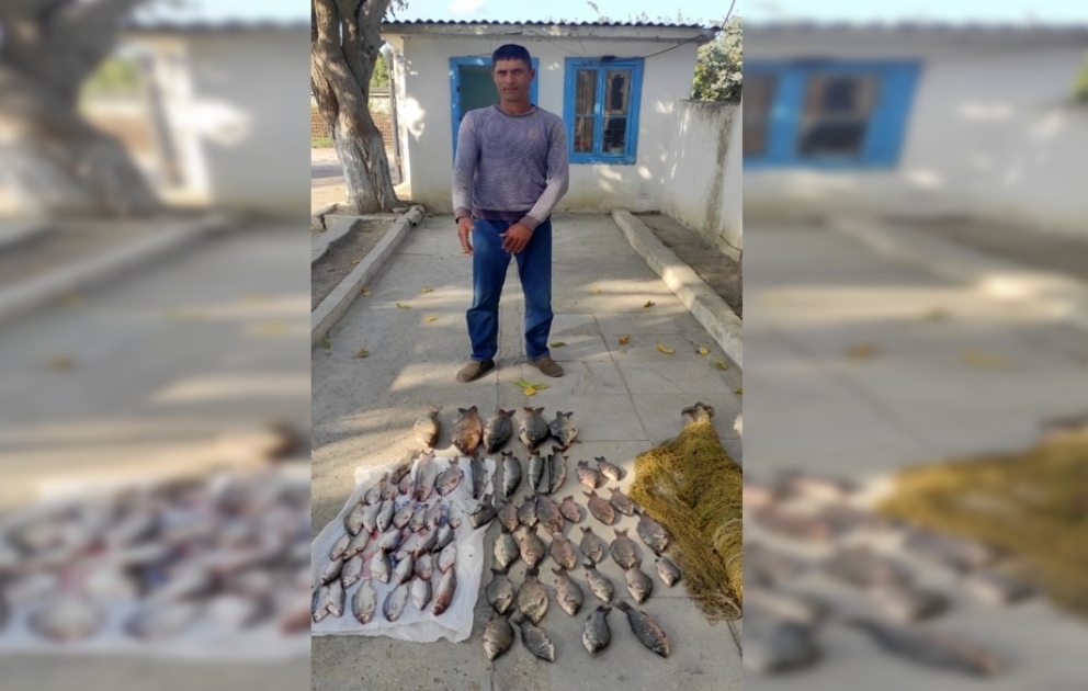 Neftçalada brakonyerliklə məşğul olan şəxs barəsində cinayət işi açılıb
