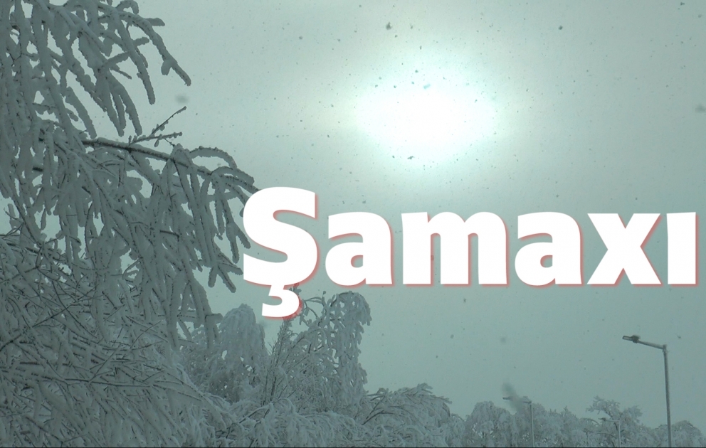 Şamaxı rayonunda qarın yağması özünəməxsus gözəllik yaradıb