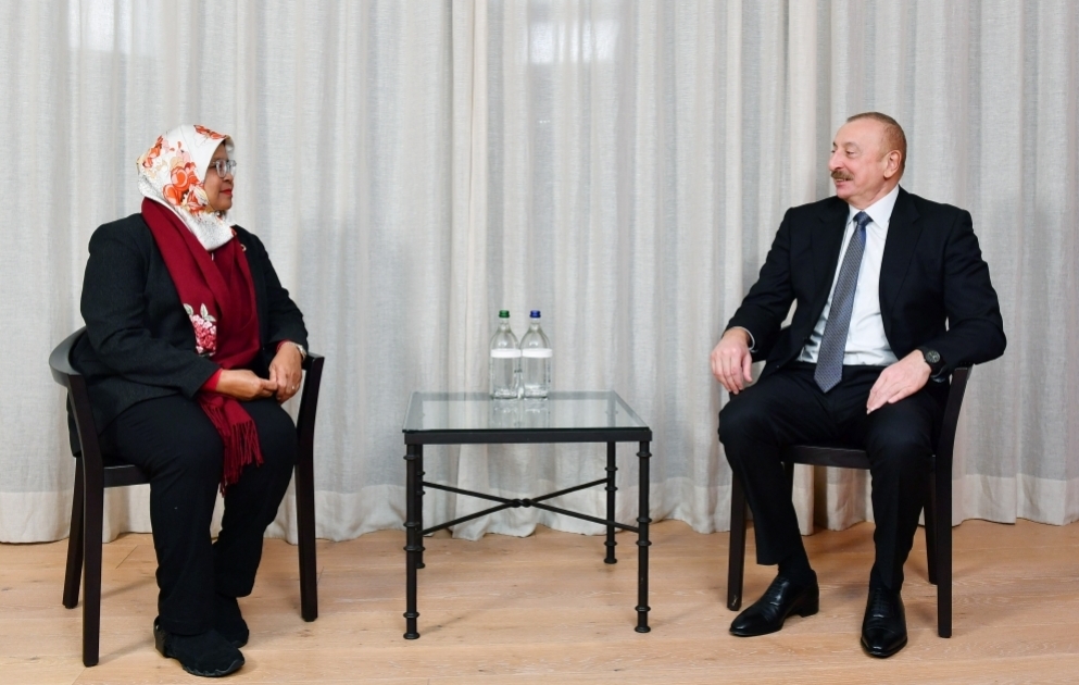 President Ilham Aliyev met with Executive Director of UN Human Settlements Programme in Davos