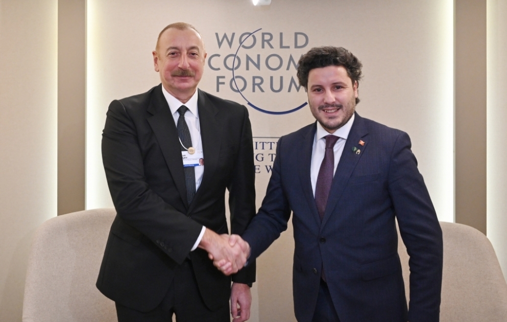 Azerbaijan, Montenegro discussed cooperation in Davos