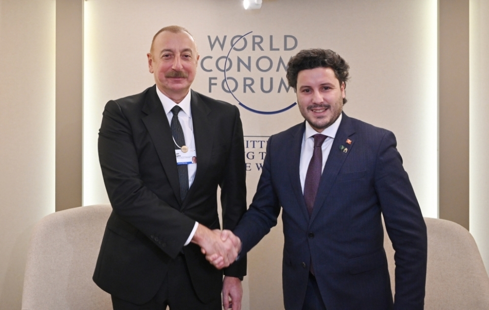 Davos: Aserbaidschan und Montenegro tauschten Meinungen über Zusammenarbeit aus