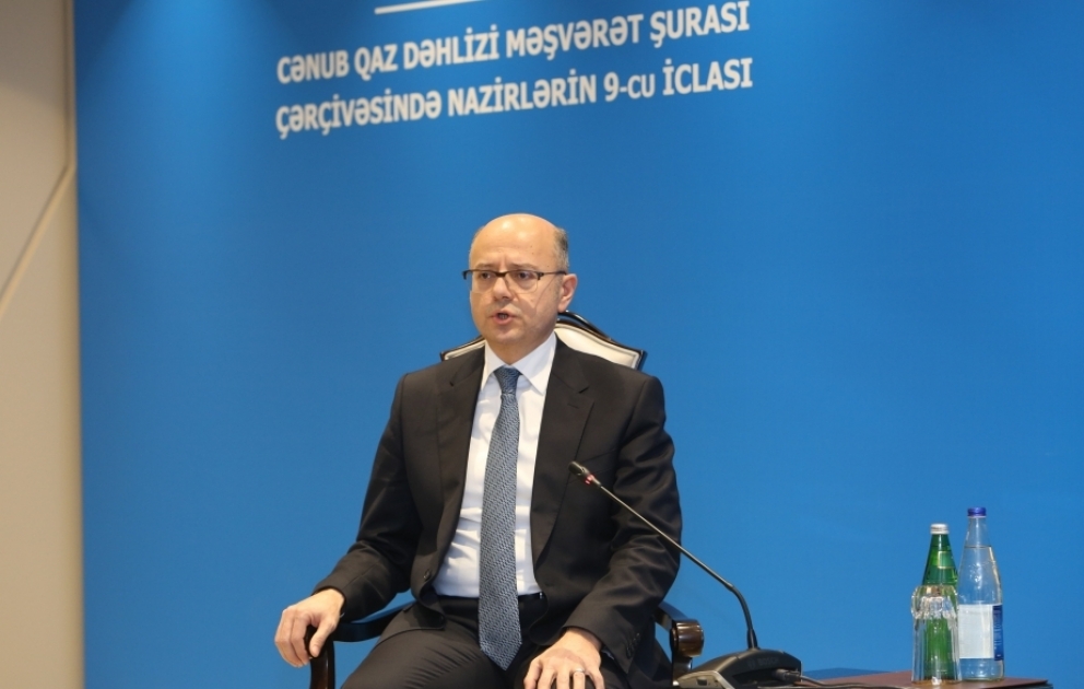 Nazir: Türkiyə ərazisi ilə Balkan ölkələrinə qazın tranziti məsələsi həllini tapıb
