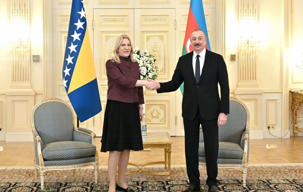 President Ilham Aliyev met with Chairwoman of Presidency of Bosnia and Herzegovina