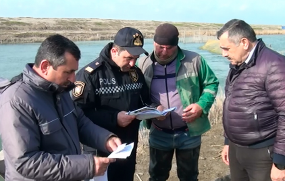 Neftçalada brokonyerlərə qarşı reyd keçirilib