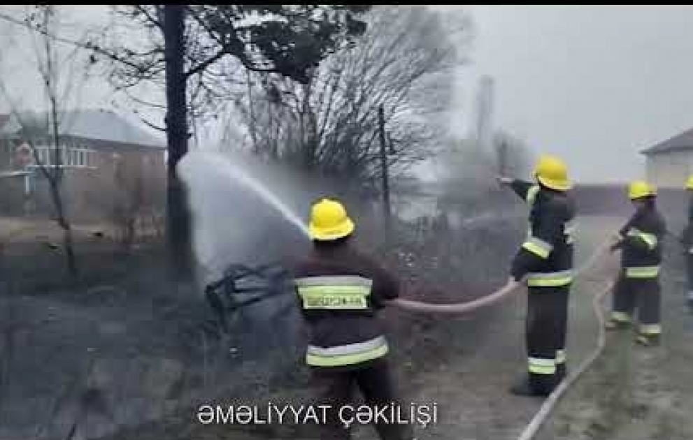 Astarada meşədə yanğın baş verib