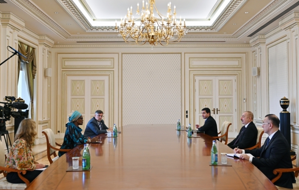 President Ilham Aliyev received Executive Director of Joint United Nations Programme on HIV/AIDS