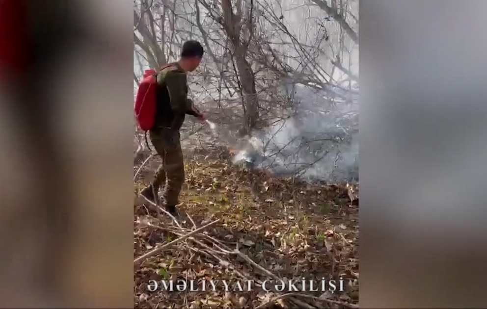 Qəbələdə meşədə baş verən yanğın məhdudlaşdırılıb