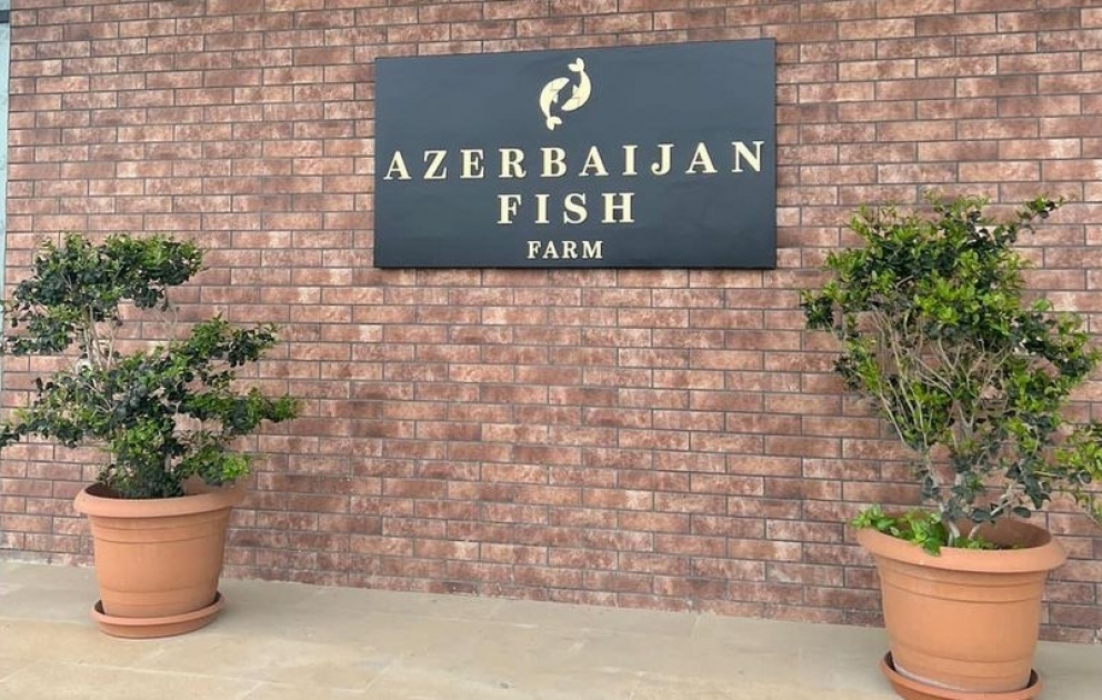 First Vice-President Mehriban Aliyeva shared Instagram post about Neftchala district trip