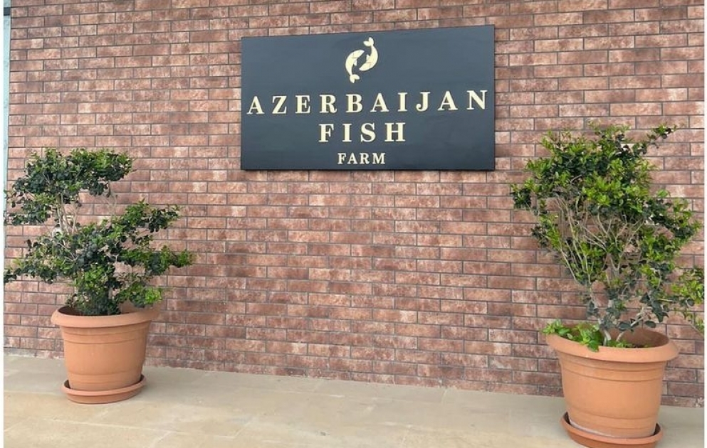 La première vice-présidente Mehriban Aliyeva partage sur Instagram une publication depuis Neftchala