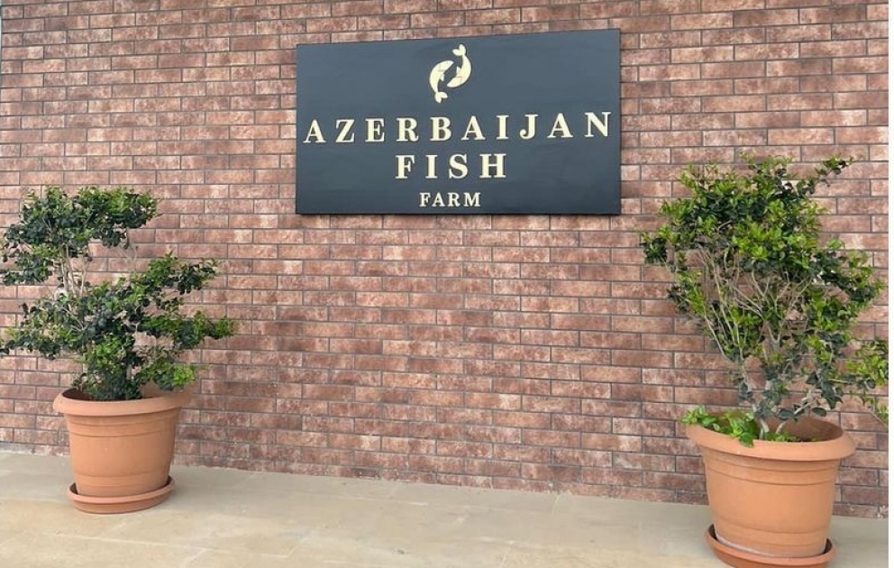 Erste Vizepräsidentin Mehriban Aliyeva teilt Beitrag aus Region Neftchala auf Instagram