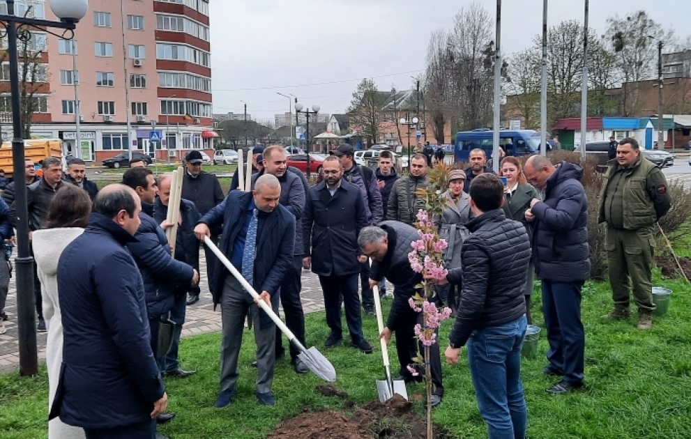 Ulu Öndərin 100 illiyi münasibətilə Kiyevdə Sakura ağacları əkilib