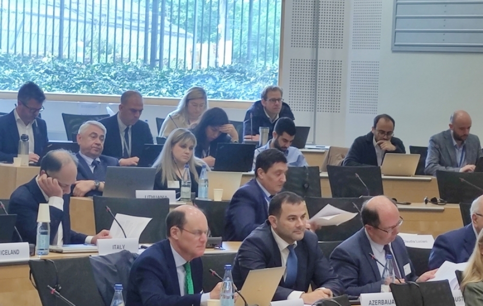 Avropa demokratiya və idarəetmə Komitəsinin yaşıl dövlət idarəçiliyinə dair konfransı başa çatıb