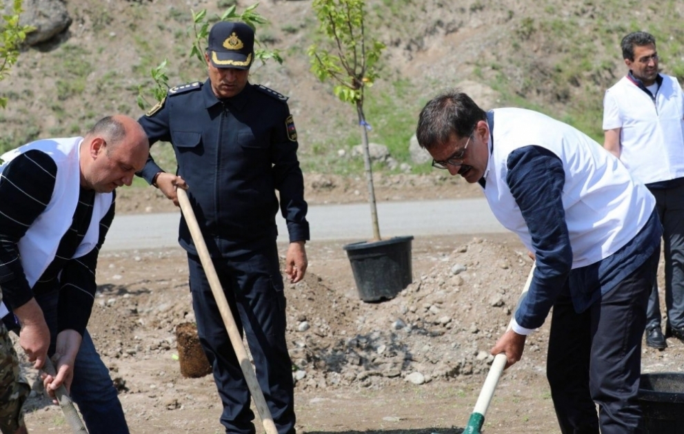 Laçında Sarıbaba dağından şəhərədək 8900 metr uzunluğunda su xətti çəkilib, şəhərin abadlaşmasında çalışan laçınlıların iştirakı ilə ağacəkmə aksiyası keçirilib